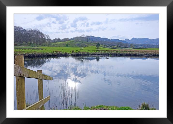               River Brathay Elterwater             Framed Mounted Print by Anthony Kellaway