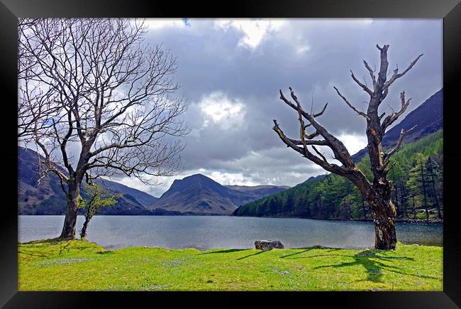               BUTTERMERE                  Framed Print by Anthony Kellaway