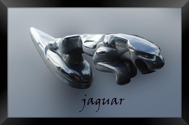               Jaguar mascot                  Framed Print by Anthony Kellaway