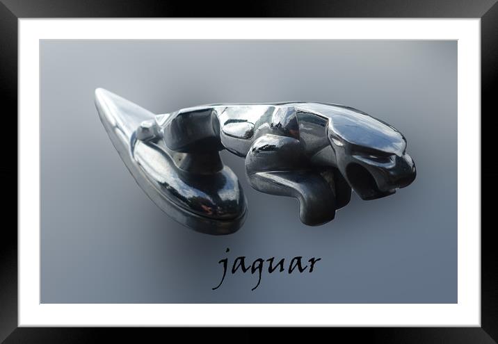               Jaguar mascot                  Framed Mounted Print by Anthony Kellaway