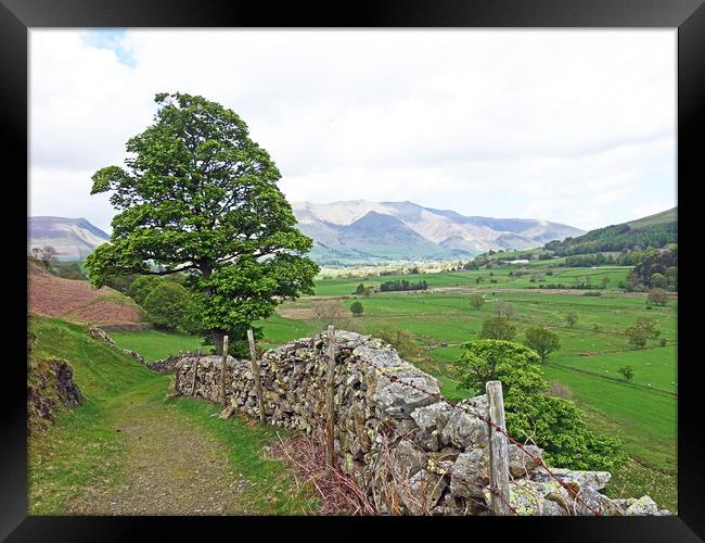     St. Johns in the Vale                          Framed Print by Anthony Kellaway