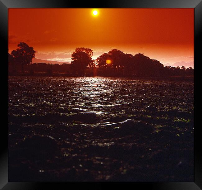 Gossamer Sunset Fields Framed Print by Howard Little