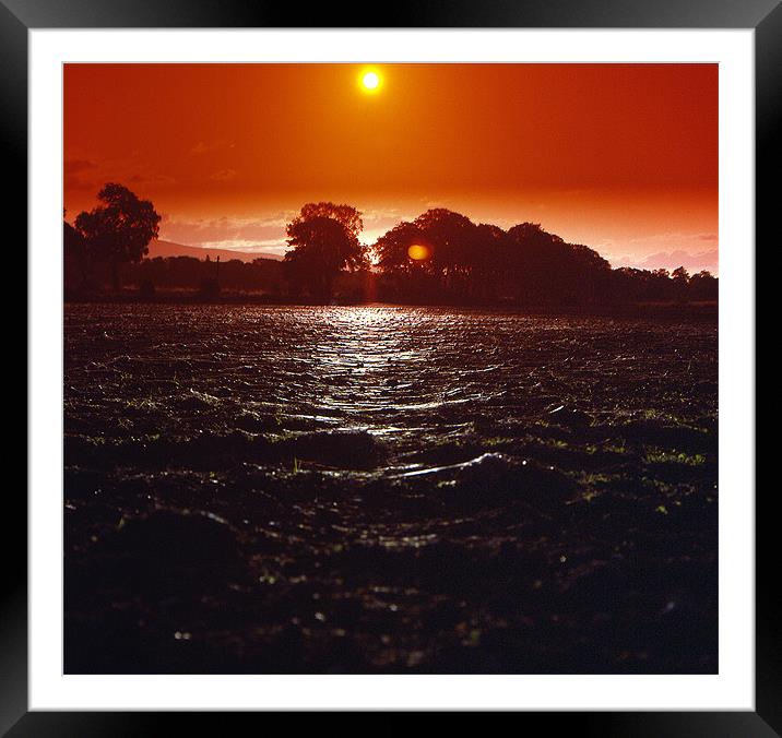 Gossamer Sunset Fields Framed Mounted Print by Howard Little