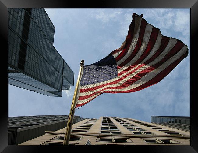 UNITED STATES FLAG (Chicago, USA) Framed Print by SIGHTSEEBOOKS SIGHTSEEBOOKS
