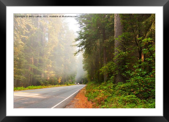 Sequoia Forest California Framed Mounted Print by Betty LaRue