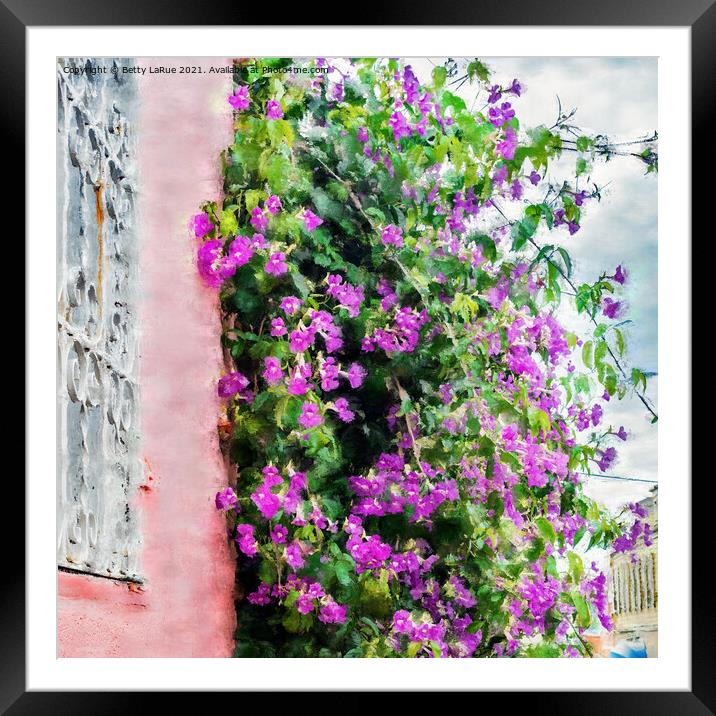 Purple Flowering vine Climbing a Wall Framed Mounted Print by Betty LaRue