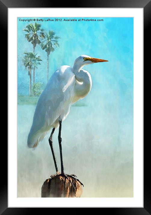 Paradise Lost Framed Mounted Print by Betty LaRue