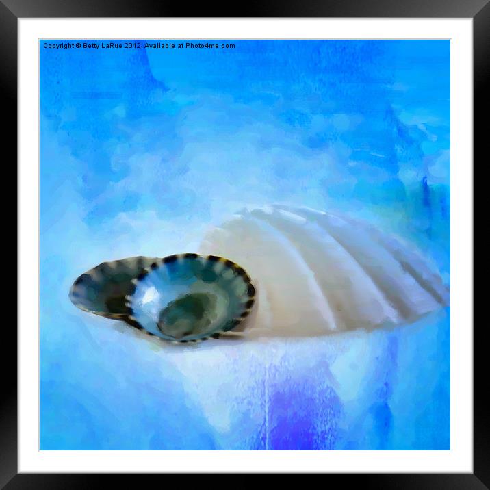 Seashells in Blue Framed Mounted Print by Betty LaRue