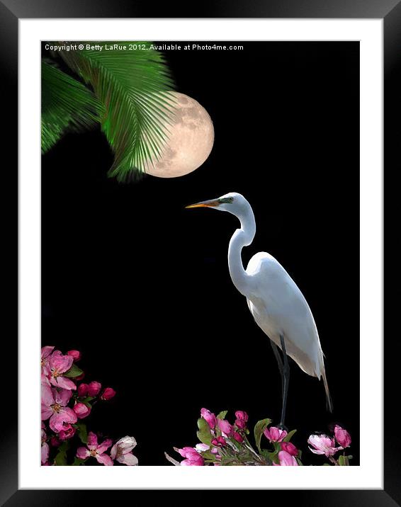 Moon Over Florida Framed Mounted Print by Betty LaRue