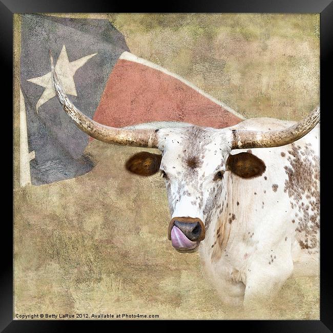 Texas Pride Framed Print by Betty LaRue