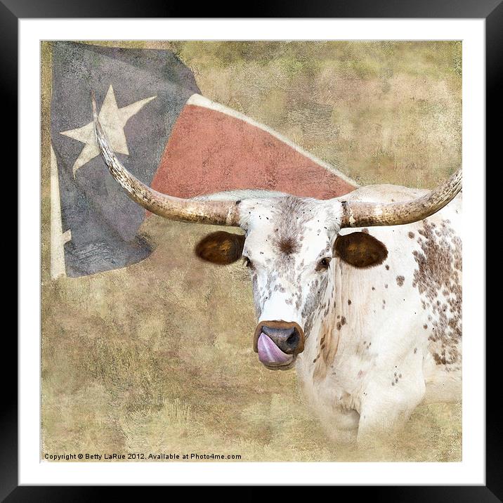 Texas Pride Framed Mounted Print by Betty LaRue