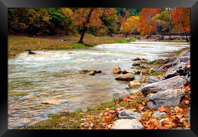 The Brook Framed Print by Betty LaRue