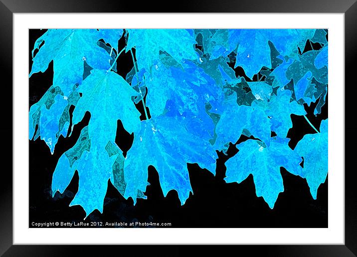 Fantasy Leaves Framed Mounted Print by Betty LaRue