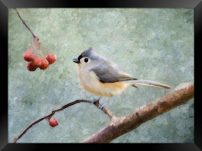 Tufted Titmouse Framed Print by Betty LaRue