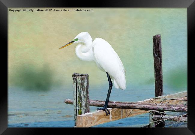 The Lookout Framed Print by Betty LaRue