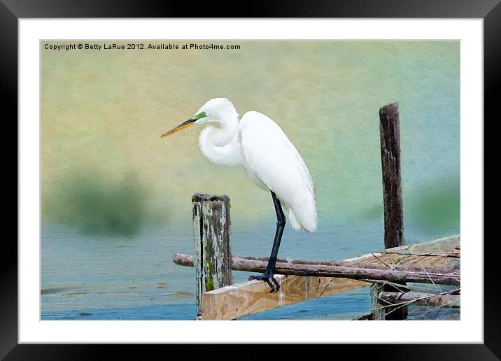 The Lookout Framed Mounted Print by Betty LaRue