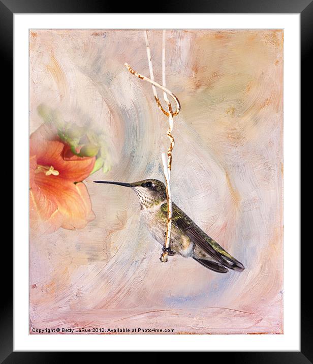 Swinger Framed Mounted Print by Betty LaRue