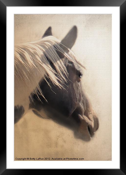 Paint Horse Portrait Framed Mounted Print by Betty LaRue