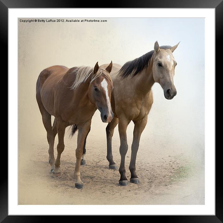 Just Us Two Framed Mounted Print by Betty LaRue