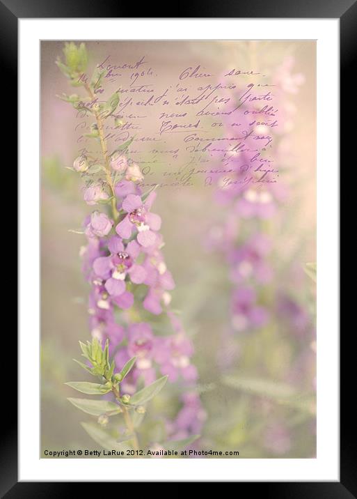 Angelina Serona Flowers Framed Mounted Print by Betty LaRue