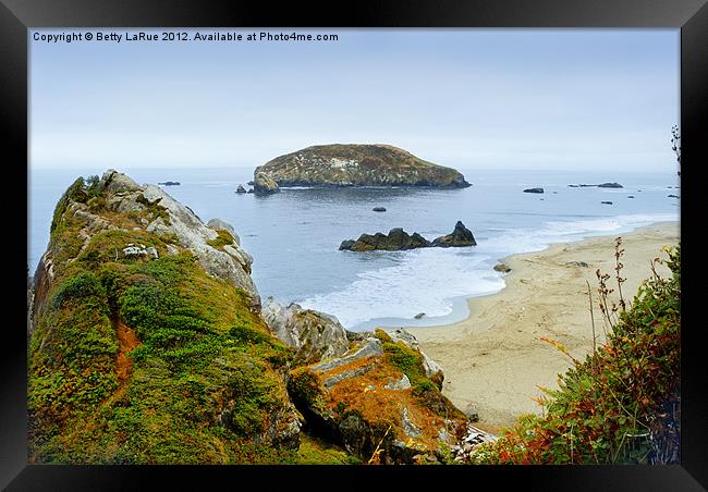 Harris Beach in Oregon Framed Print by Betty LaRue