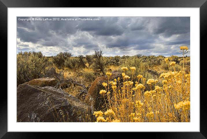 Oregon High Desert Vista Framed Mounted Print by Betty LaRue