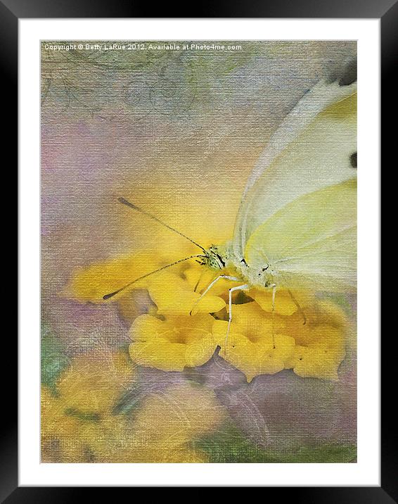 Summertime Framed Mounted Print by Betty LaRue