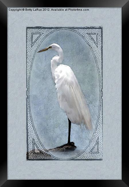 Great Egret Digital Painting Framed Print by Betty LaRue