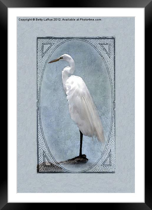 Great Egret Digital Painting Framed Mounted Print by Betty LaRue