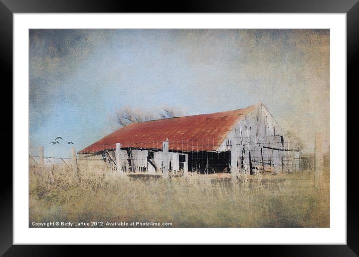 Impressionistic Old Barn Framed Mounted Print by Betty LaRue