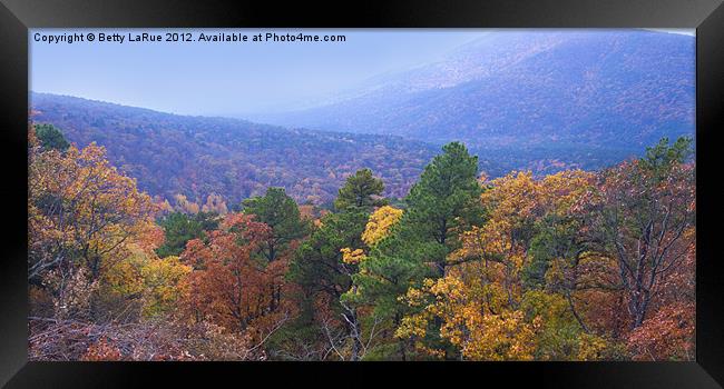 Autumn View Framed Print by Betty LaRue