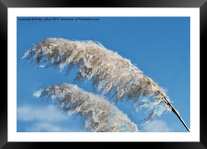 Pampas Grass Abstract Framed Mounted Print by Betty LaRue