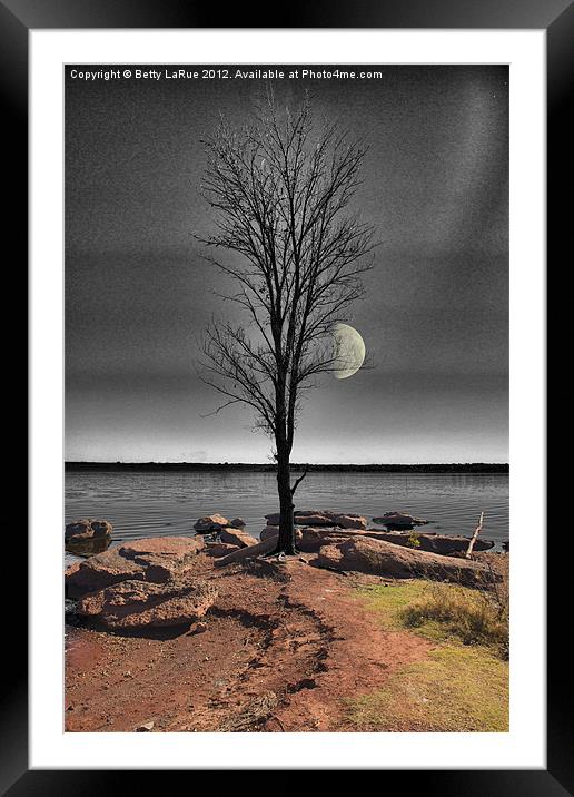 The Lone Tree Framed Mounted Print by Betty LaRue