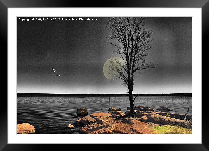 Autumn Moon Framed Mounted Print by Betty LaRue