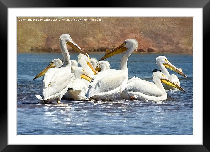 Let's Blow This Joint, It's Too Crowded Framed Mounted Print by Betty LaRue