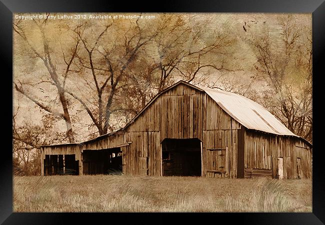 American West Barn Framed Print by Betty LaRue