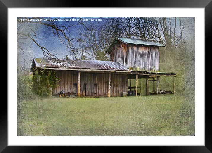 American West Homestead Framed Mounted Print by Betty LaRue