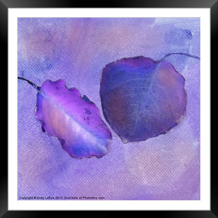 Leaf Study in Purple Framed Mounted Print by Betty LaRue