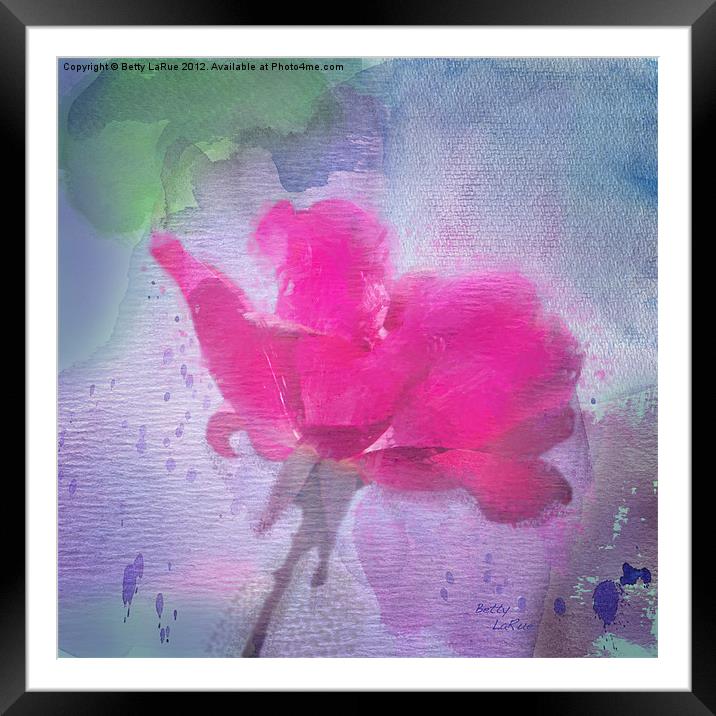 The Scent of Roses Framed Mounted Print by Betty LaRue