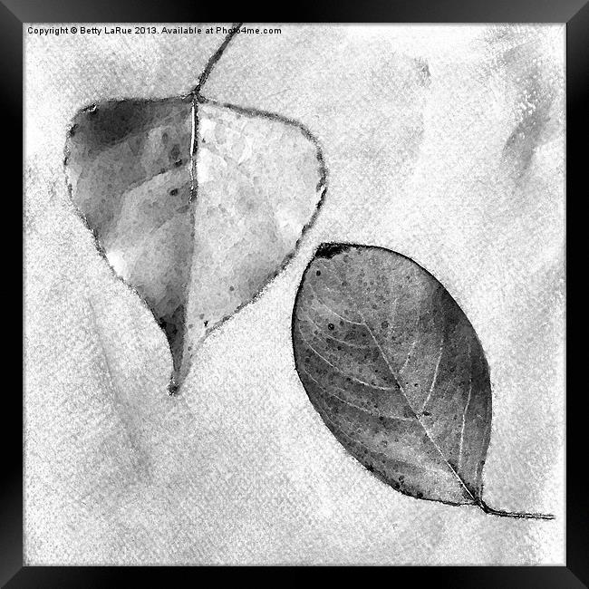 Leaves in Black and White Framed Print by Betty LaRue