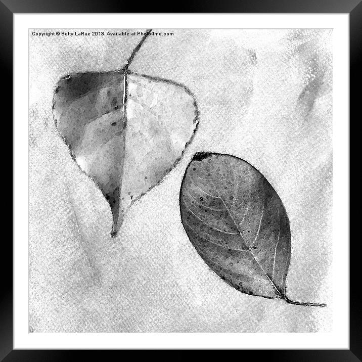 Leaves in Black and White Framed Mounted Print by Betty LaRue