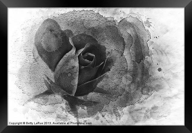 Heavenly in Black and White Framed Print by Betty LaRue