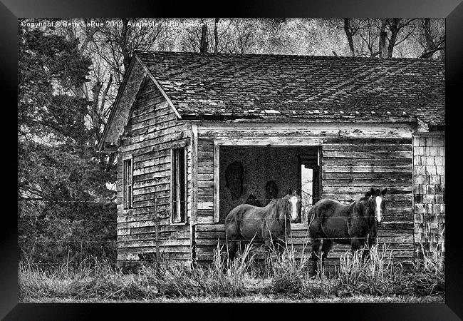 Is This Our Barn Framed Print by Betty LaRue