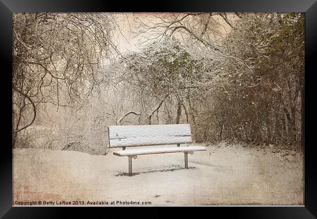 The Lonely Bench Framed Print by Betty LaRue