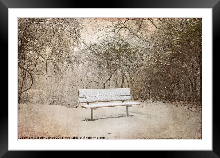 The Lonely Bench Framed Mounted Print by Betty LaRue