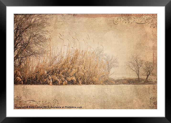 Natural Beauty Framed Mounted Print by Betty LaRue