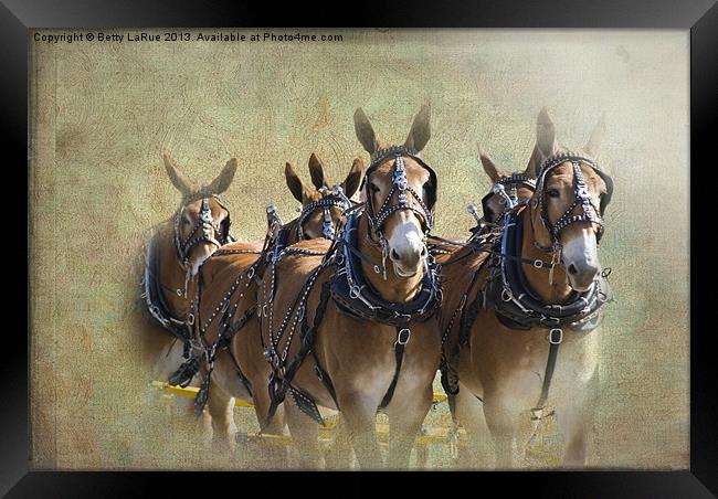 Old West Mule Train Framed Print by Betty LaRue