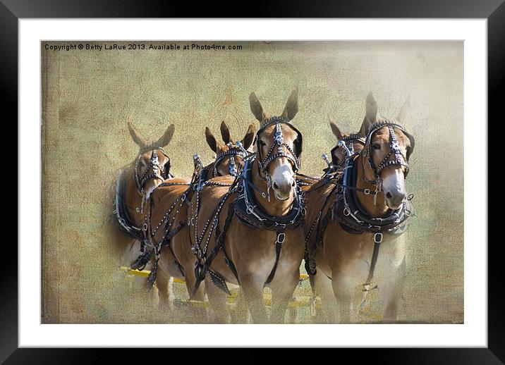 Old West Mule Train Framed Mounted Print by Betty LaRue