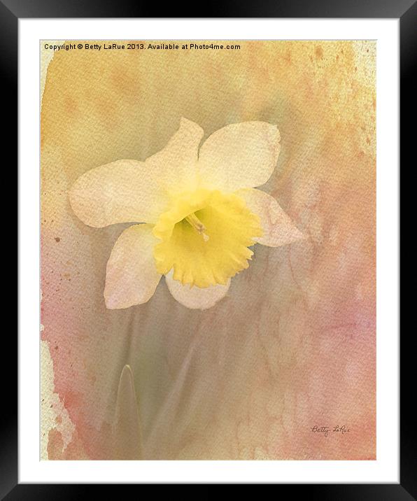 Dancing With The Daffodils Framed Mounted Print by Betty LaRue