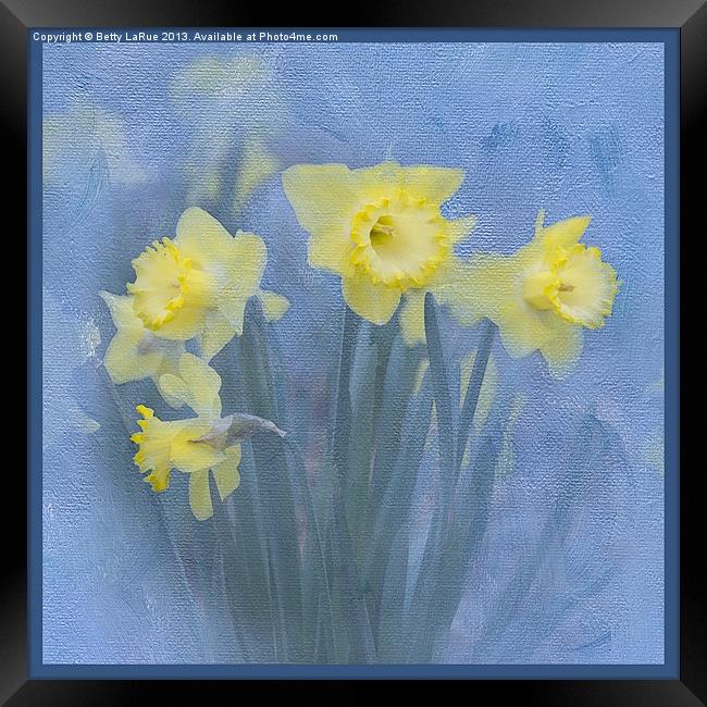 Daffodils in Blue Framed Print by Betty LaRue